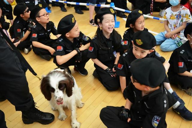 罗马训练开放日，集结日再遭质疑引欢呼，德甲在即，医务组通报恢复(汉赋七发)